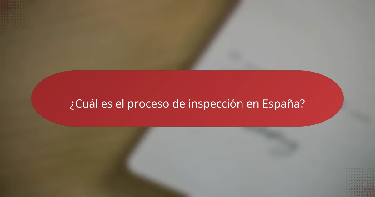 ¿Cuál es el proceso de inspección en España?
