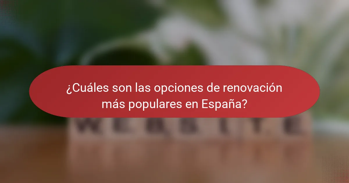 ¿Cuáles son las opciones de renovación más populares en España?