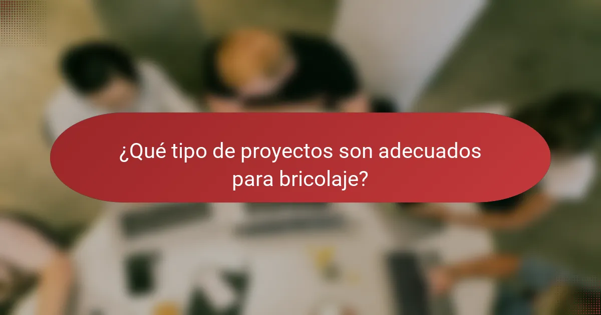 ¿Qué tipo de proyectos son adecuados para bricolaje?